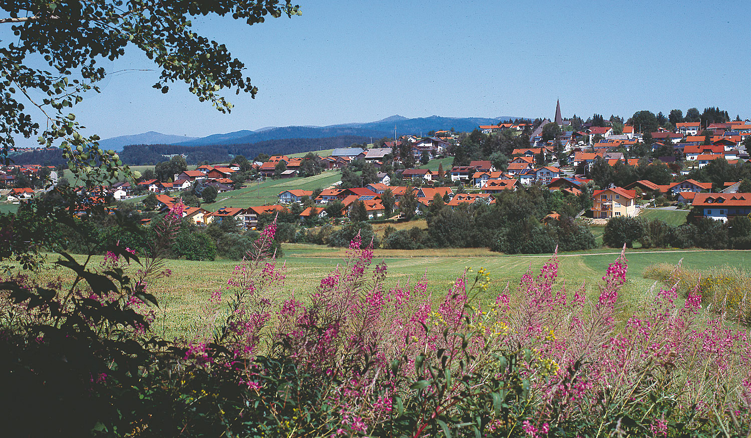 Urlaub in Hinterschmiding im Dreiländereck Bayerischer Wald